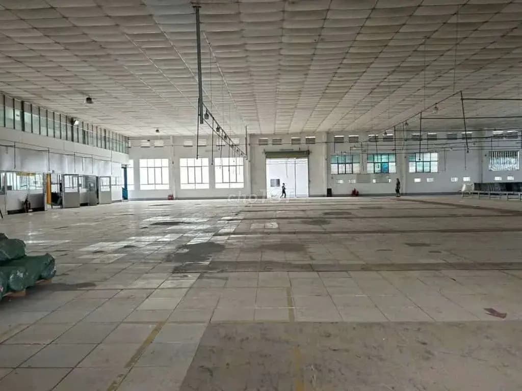 Main-Xưởng Củ Chi 5500m giá 1.5 usd/m-0