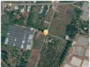 Thumb-Bán Đất 236m2 có sẵn 118 m2 thổ cư giá 1.9 tỷ tại Xã Long Tân Huyện Đất Đỏ Bà Rịa - Vũng Tàu-4