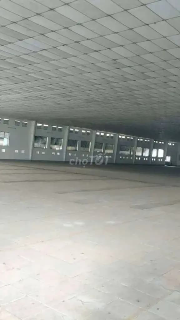 Main-Xưởng Củ Chi 5500m giá 1.5 usd/m-3