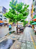 Thumb-❇️❇️ Cho Thuê Nhà Mặt Tiền: 200 Nguyễn Tri Phương - Quận 10 - 20x25m, hầm, 7 tầng-3