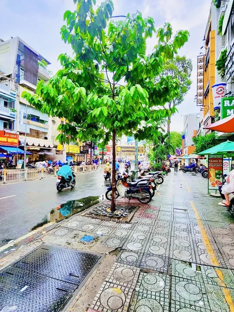 Main-❇️❇️ Cho Thuê Nhà Mặt Tiền: 200 Nguyễn Tri Phương - Quận 10 - 20x25m, hầm, 7 tầng-2