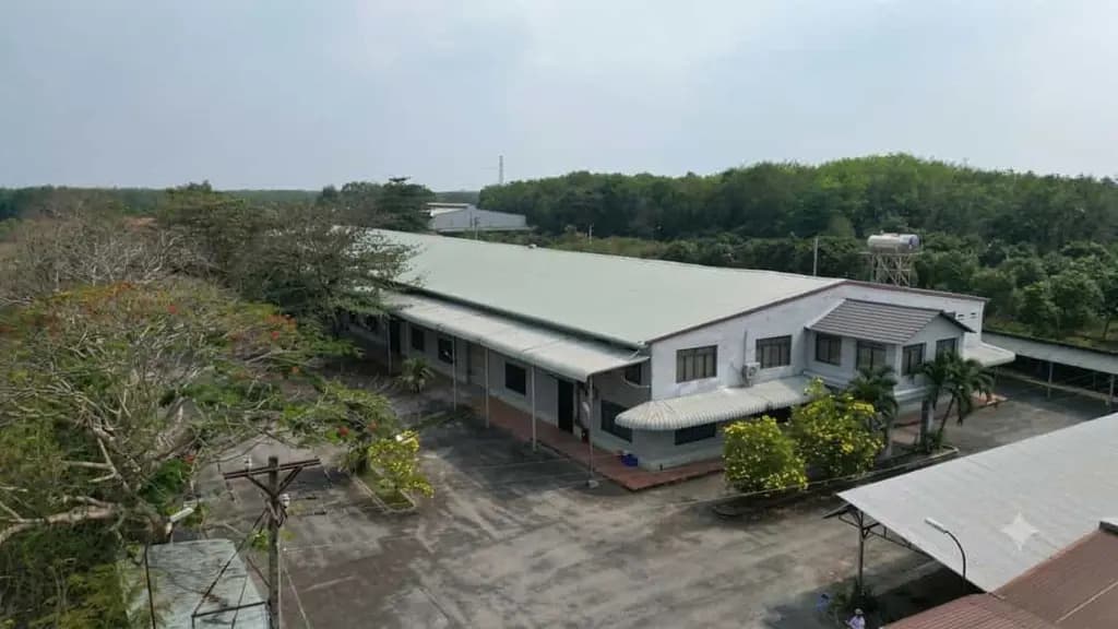 Main-CHÀO BÁN NHÀ XƯỞNG TẠI BẾN CÁT, BÌNH DƯƠNG-1