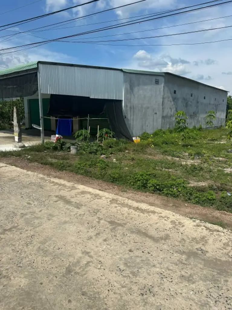 Main-Bán 319,6 m2 thửa đất số 147, tờ bản đồ số 392, P.Phú Hòa, TP.Thủ Dầu Một, T.Bình Dương-2