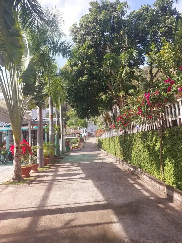 Main-GIẢM GIÁ 35% KHU RESORT+ HOMESTAY Rộng 3.500m2. LƯNG DỰA NÚI MẶT HƯỚNG BIỂN Bãi Trước Vũng Tàu.-4
