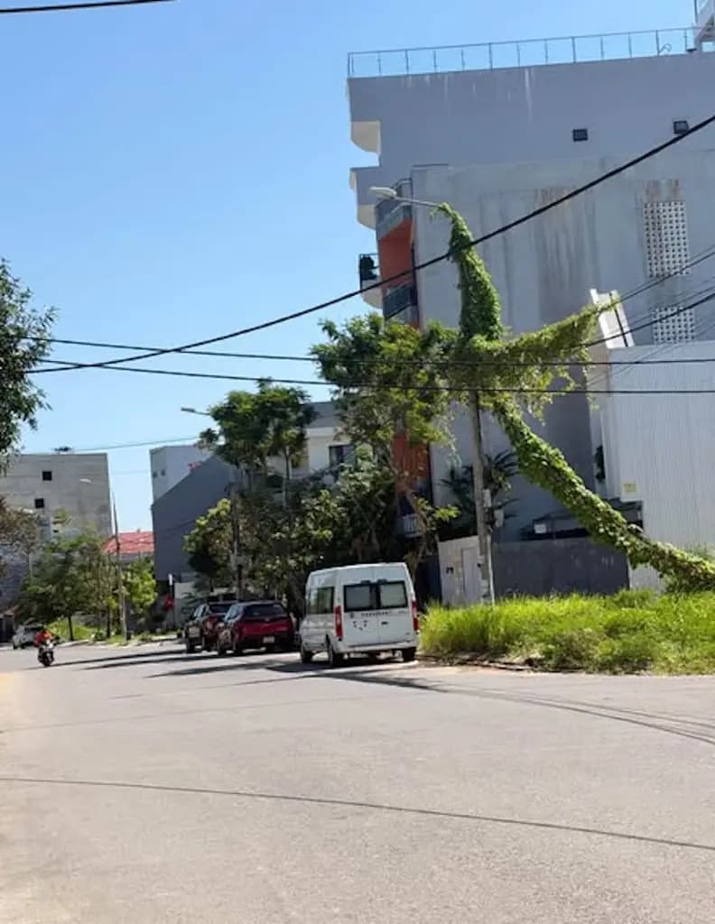 Main-8,90 TỶ – ĐẤT 110M2 MẶT ĐƯỜNG ĐOÀN KHUÊ, KHUÊ MỸ-1