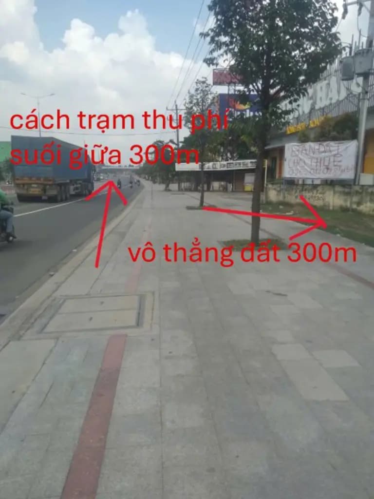 Main-Bán 319,6 m2 thửa đất số 147, tờ bản đồ số 392, P.Phú Hòa, TP.Thủ Dầu Một, T.Bình Dương-4