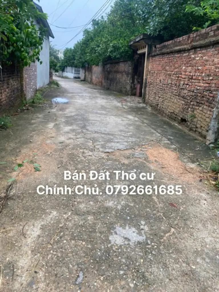 Main-Chính Chủ Bán Gấp 125m2-MT 10m.Đất SĐCC tại Hạ Lát Tiên Sơn Việt Yên Bắc Giang. Giá Bán Cực Rẻ.-8