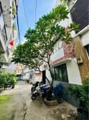 Thumb-CHDV NGUYỄN VĂN ĐẬU, 80M2 X 3T BTCT, HẺM XE HƠI TỚI CỬA, HT PCCC SẴNG-1