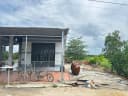 Thumb-Bán Nhà riêng 1928.8m2 có sẵn 258 m2 thổ cư giá 1.95 tỷ tại Xã Hậu Thạnh Đông Huyện Tân Thạnh Long An-3