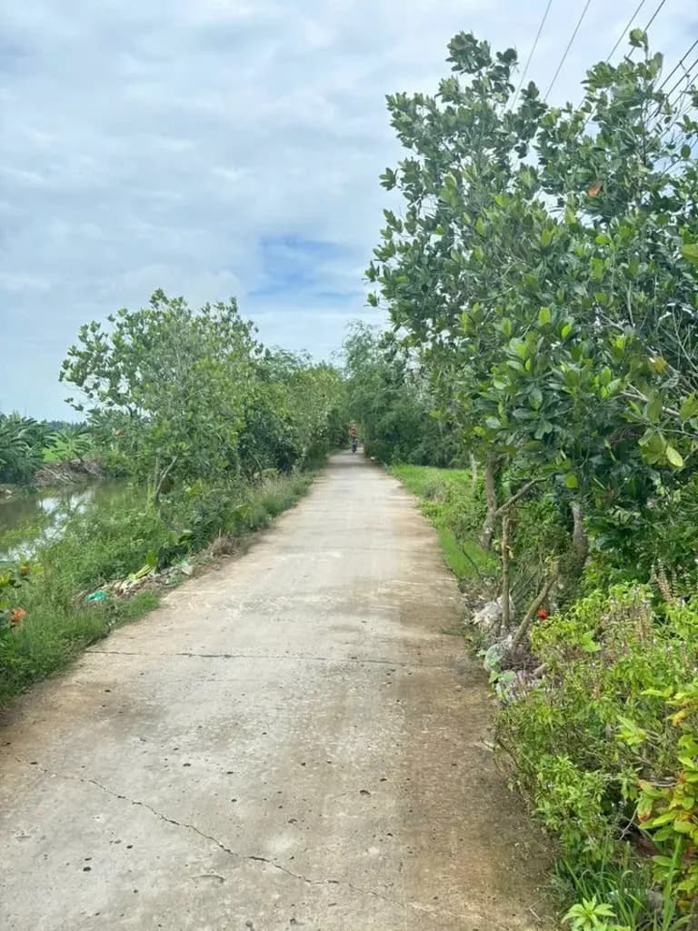 Main-Bán Nhà riêng 1928.8m2 có sẵn 258 m2 thổ cư giá 1.95 tỷ tại Xã Hậu Thạnh Đông Huyện Tân Thạnh Long An-4