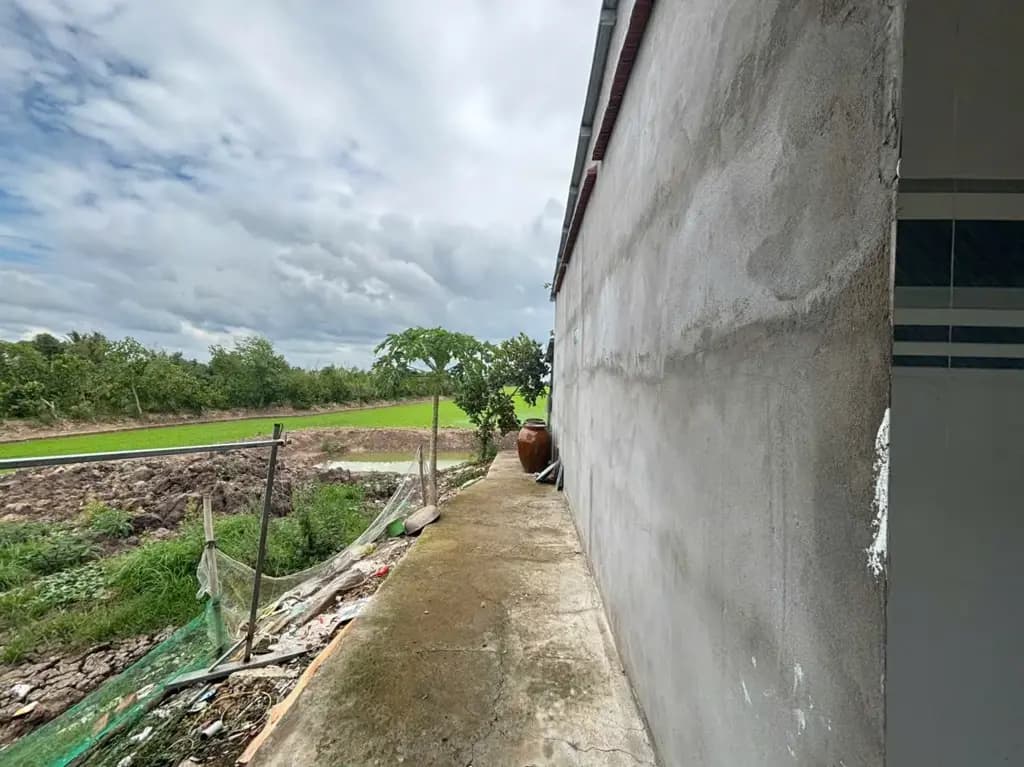 Main-Bán Nhà riêng 1928.8m2 có sẵn 258 m2 thổ cư giá 1.95 tỷ tại Xã Hậu Thạnh Đông Huyện Tân Thạnh Long An-6