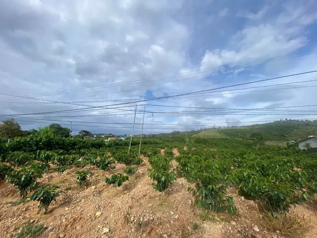 Main-Bán Đất 2000m2 có sẵn 300 m2 thổ cư giá 3.5 tỷ tại Xã Ninh Gia Huyện Đức Trọng Lâm Đồng-1