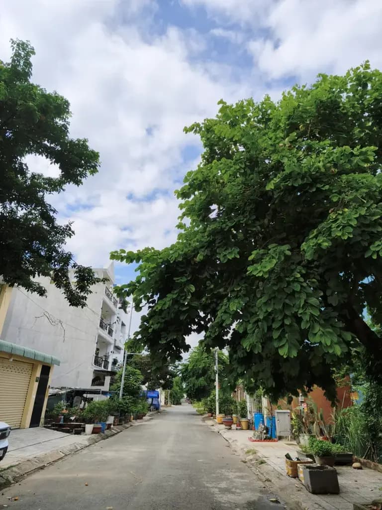 Main-Bán Nhà riêng 99.8m2 có sẵn 99.8 m2 thổ cư giá 21 tỷ tại Phường Thạnh Mỹ Lợi Thành phố Thủ Đức TP. Hồ Chí Minh-2
