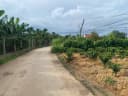 Thumb-Bán Đất 2000m2 có sẵn 300 m2 thổ cư giá 3.5 tỷ tại Xã Ninh Gia Huyện Đức Trọng Lâm Đồng-3