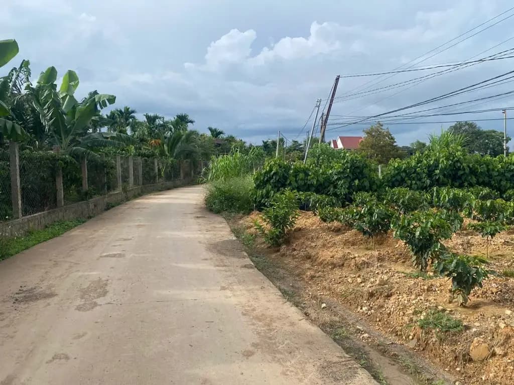 Main-Bán Đất 2000m2 có sẵn 300 m2 thổ cư giá 3.5 tỷ tại Xã Ninh Gia Huyện Đức Trọng Lâm Đồng-2