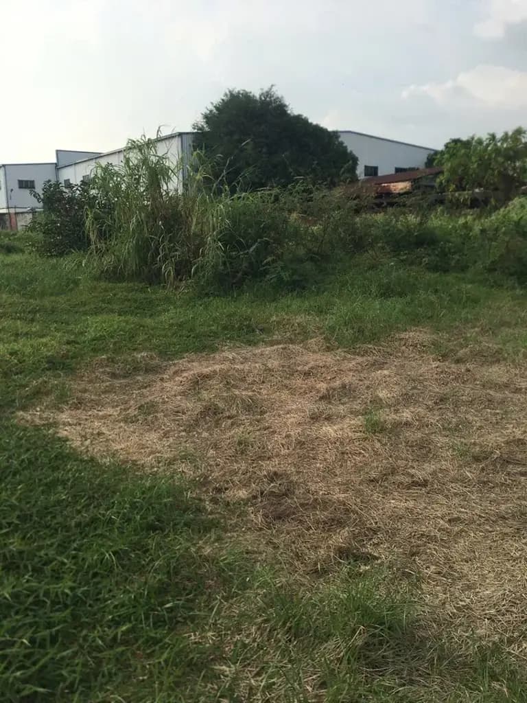 Main-Bán Đất 2279m2 giá 46 tỷ tại Đường Nguyễn Thị Thử Xã Xuân Thới Sơn Huyện Hóc Môn TP. Hồ Chí Minh-9