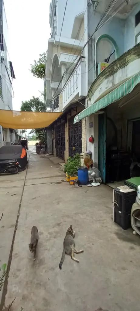 Main-Bán nhà hẻm xe hơi Mã Lò 4 x 12m tiện xây mới-3