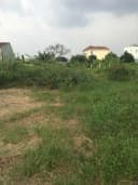 Thumb-Bán Đất 2279m2 giá 46 tỷ tại Đường Nguyễn Thị Thử Xã Xuân Thới Sơn Huyện Hóc Môn TP. Hồ Chí Minh-7