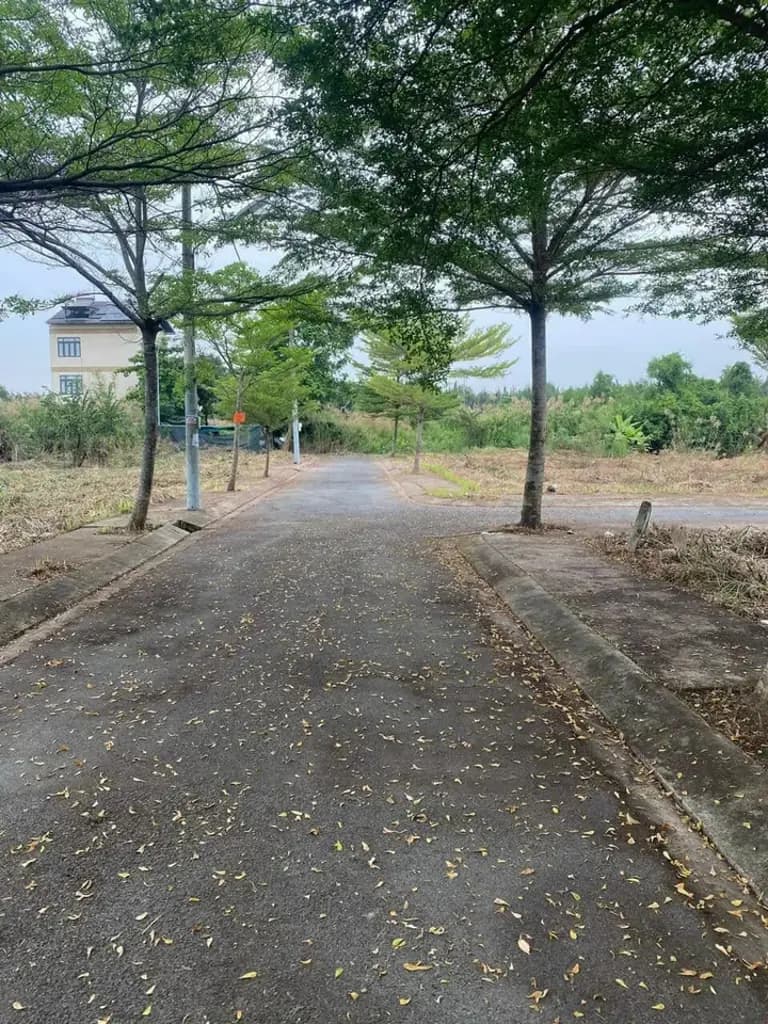 Main-Bán Đất 94m2 có sẵn 94 m2 thổ cư giá 3.45 tỷ tại Đường Nguyễn Văn Tạo Xã Long Thới Huyện Nhà Bè TP. Hồ Chí Minh-0