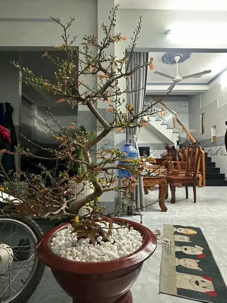 Main-Bán nhà 9x10m, mặt tiền đường nhựa gần công viên Tân Thới Nhì, giá giảm còn 3,8 Tỷ-2