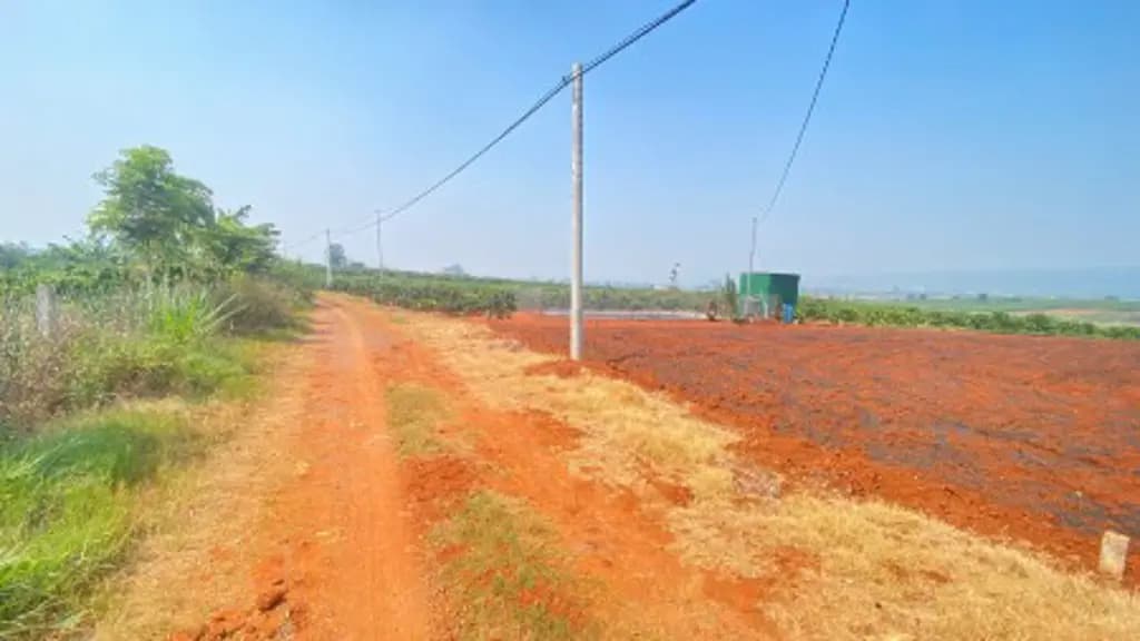Main-3,6 sào hẻm dh1, tân hội, đức trọng cũ, lâm đồng-0