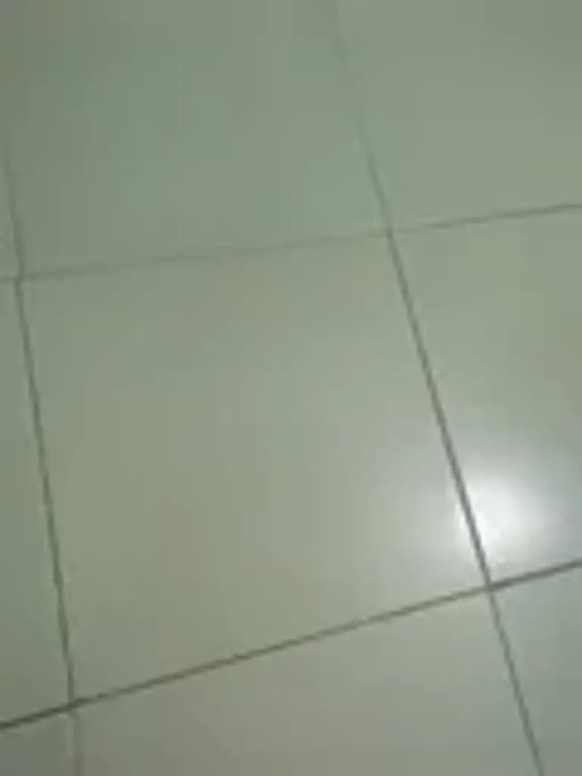 userAvatar