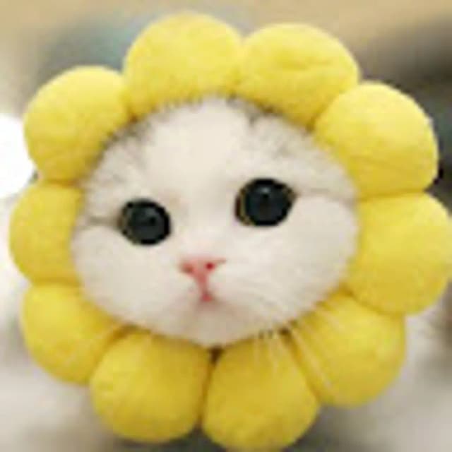 userAvatar