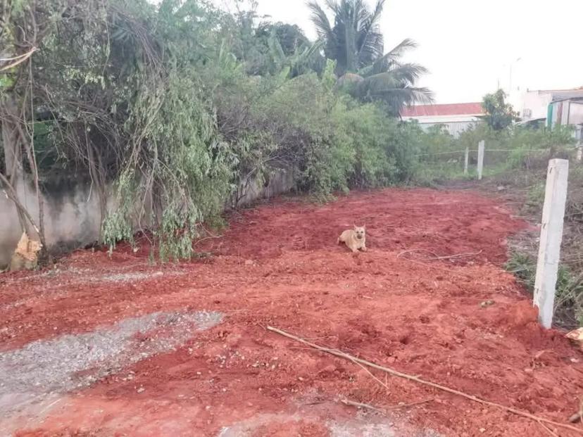 Bán đất hẻm phường Xuân An, Tp.Phan Thiết