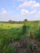 Thumb-4920m2 Tân, Định Bến Cát, Bình Dương-3