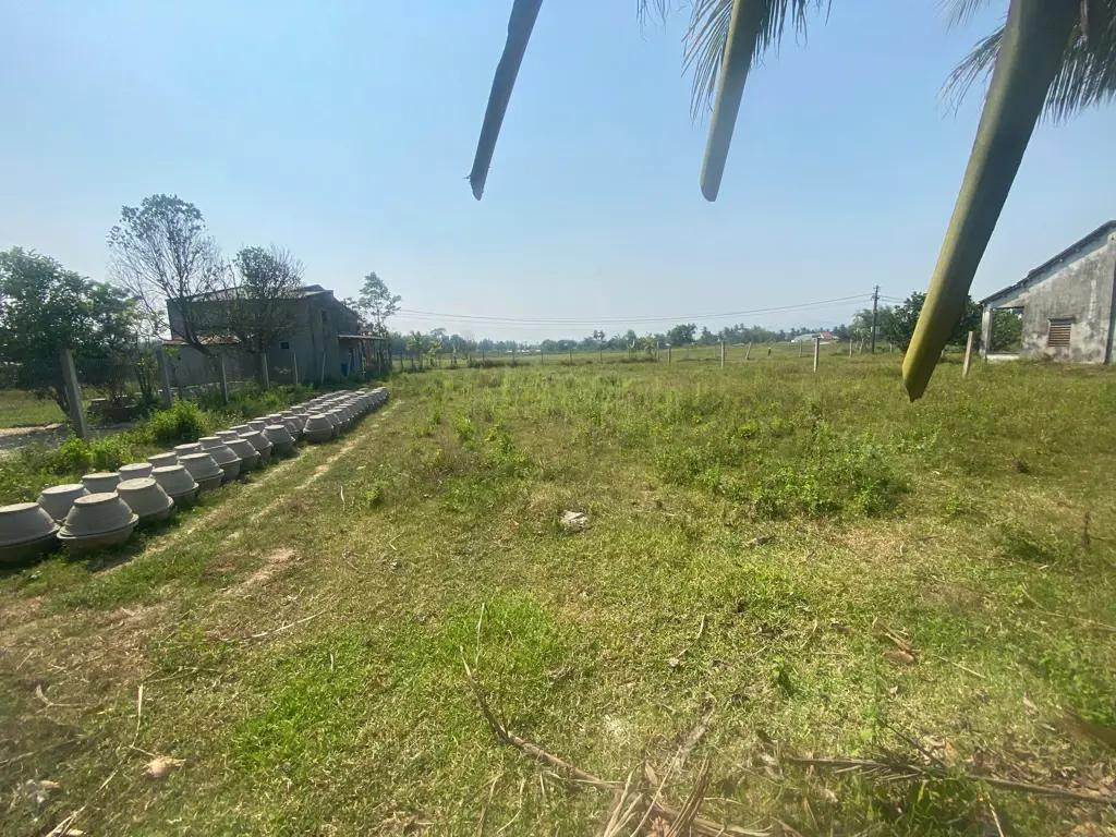 Main-Bán Đất Nhà Vườn 600m2 – Gần Nam Kỳ Khởi Nghĩa – Đầu Tư Tách 5 Lô Cực Đẹp-4