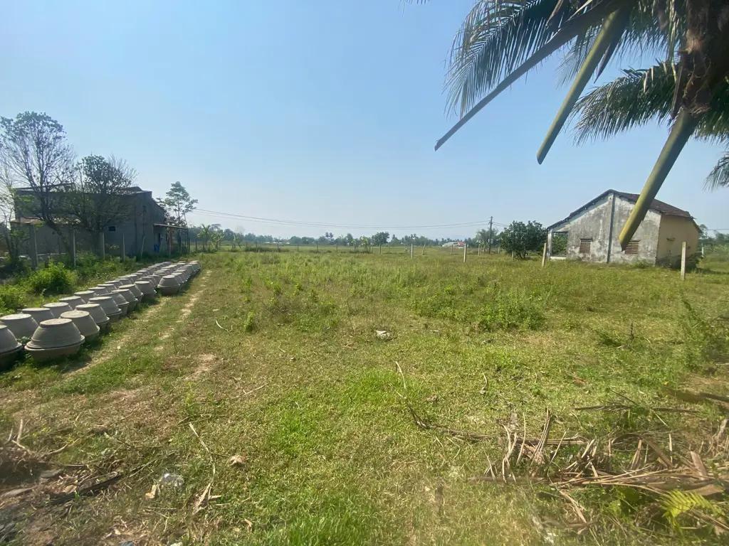 Main-Cần bán lô đất nhà vườn diện tích hơn 600m2, vị trí đẹp, gần đường Vành đai Nam Kỳ Khởi Nghĩa, kết nối giao thông thuận tiện về trung tâm thành phố.-3