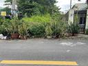 Thumb-MT TRƯƠNG HÁN SIÊU – LONG TOÀN – 292M2 – CHỈ 4,2 TỶ-3