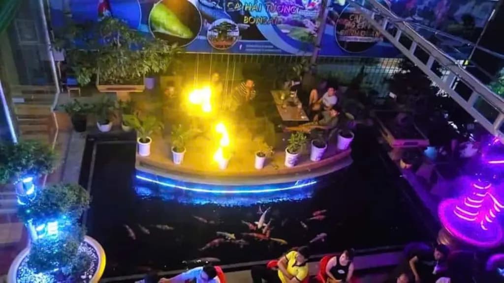 Main-Cho Thuê / Sang Mặt Bằng Đẹp Mặt Tiền Lê Hồng Phong, Thủ Dầu Một - Có Hồ Cá Koi, Vựa Hải Sản-5