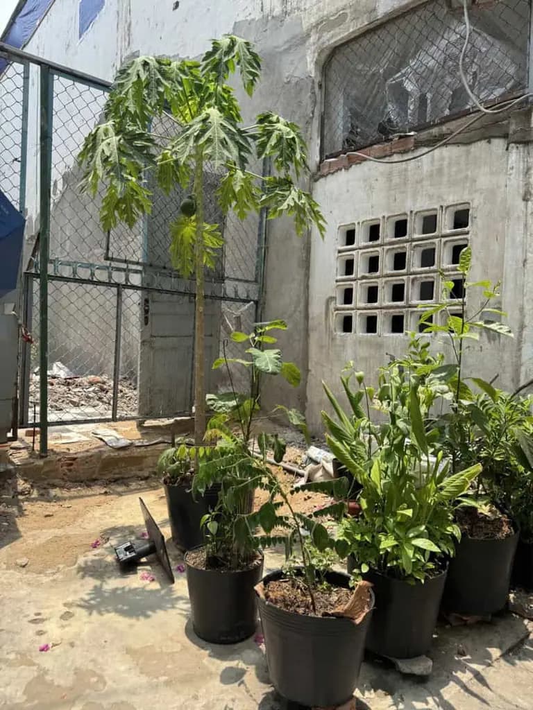 Main-HIẾM CÓ – ĐẤT ĐẸP PHAN ĐÌNH PHÙNG, PHÚ NHUẬN – 3.6 x 11.1M – CHỈ 5.5 TỶ-2