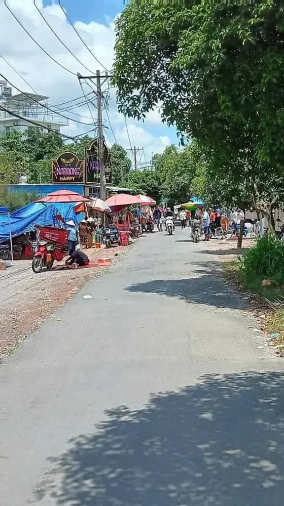 Main-Bán đất Vườn 500m có 150m thổ Tân Phú Trung Củ Chi-1