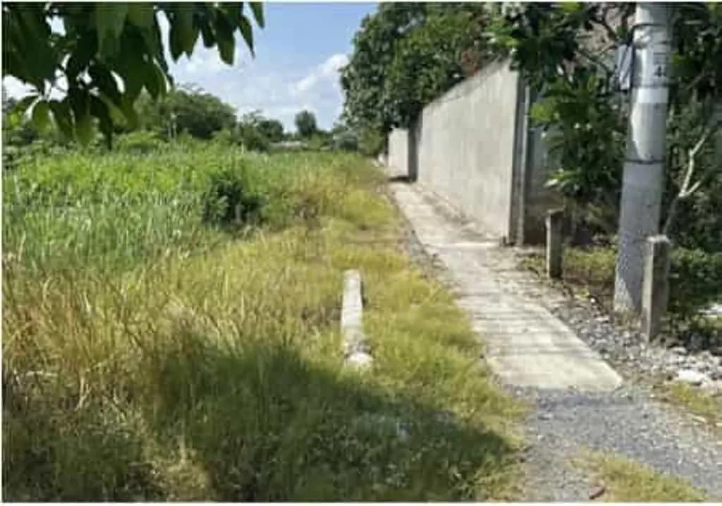 Main-Cơ hội đầu tư sinh lời - Chính chủ bán quỹ đất mặt tiền đường Hồ Biểu Chánh - P. Sơn Quy, Đồng Tháp-1