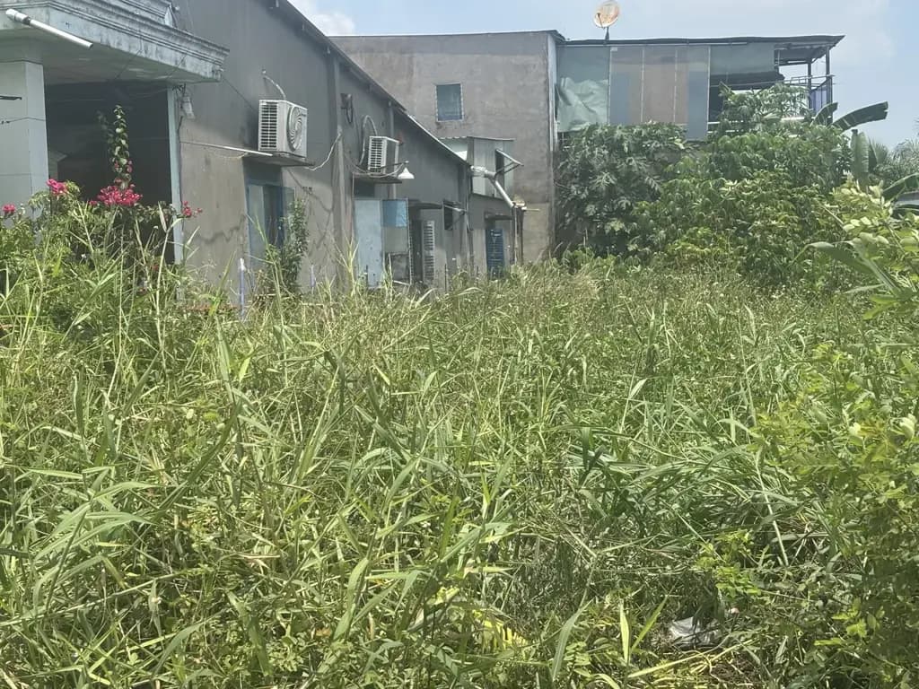 Main-Chủ đang cần vốn ra gấp lô đấy tâm huyết full thỏi cư-2