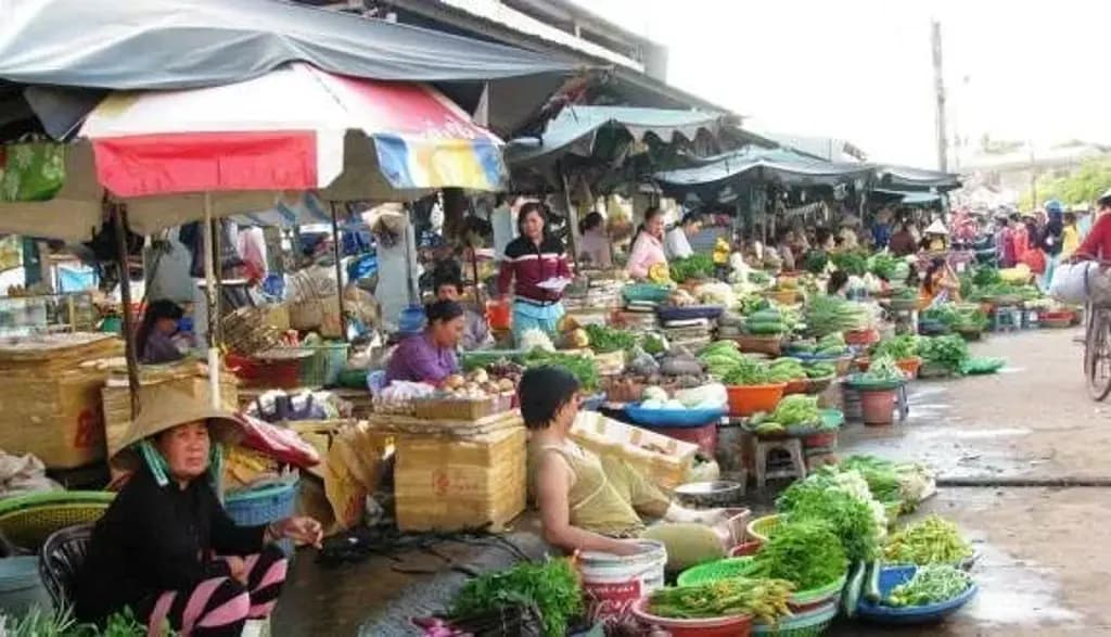 Main-KẸT TIỀN BÁN GẤP 10X52M=520M2 NGAY KCN BÀU BÀNG, CHỢ DÂN ĐÔNG TIỆN XÂY TRỌ 850TR-1