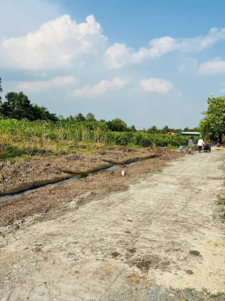 Main-Bán Đất 500m2 giá 490 triệu tại Đường ĐT 816 Xã Thạnh Hòa Huyện Bến Lức Long An-3