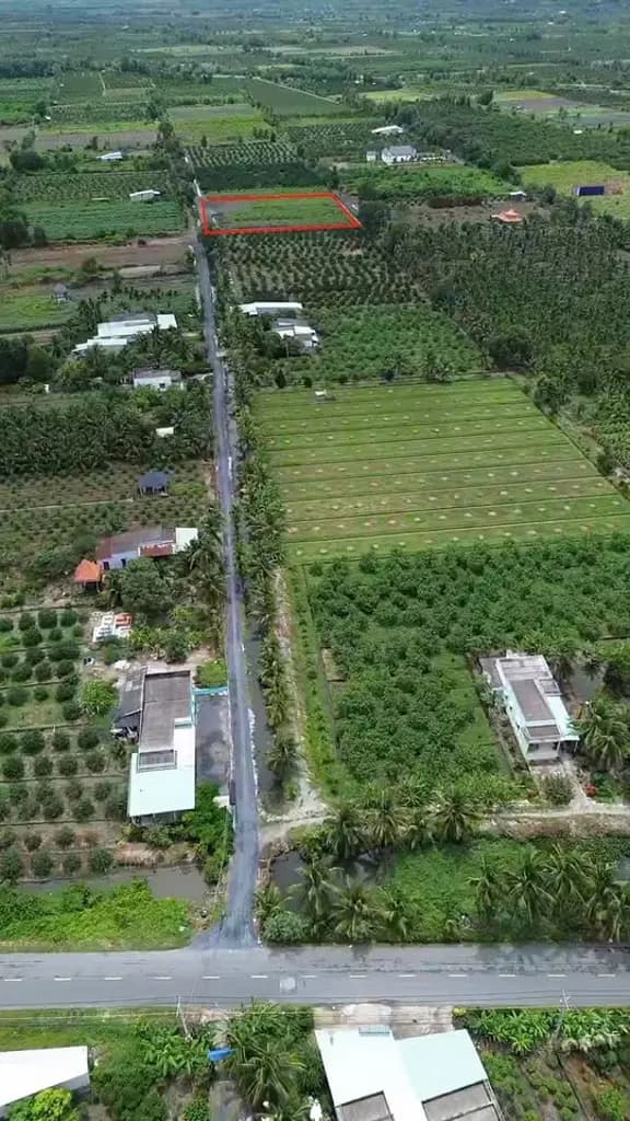 Main-Bán Đất 500m2 giá 490 triệu tại Đường ĐT 816 Xã Thạnh Hòa Huyện Bến Lức Long An-6