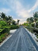 Thumb-Bán Đất 500m2 giá 490 triệu tại Đường ĐT 816 Xã Thạnh Hòa Huyện Bến Lức Long An-1