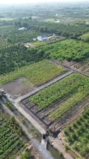 Thumb-Bán Đất 500m2 giá 490 triệu tại Đường ĐT 816 Xã Thạnh Hòa Huyện Bến Lức Long An-3