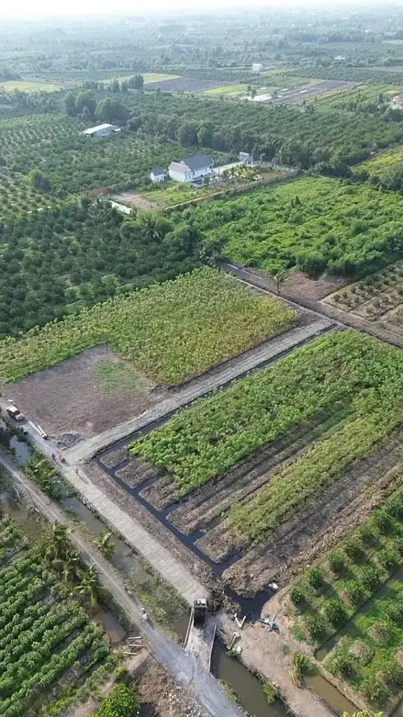 Main-Bán Đất 500m2 giá 490 triệu tại Đường ĐT 816 Xã Thạnh Hòa Huyện Bến Lức Long An-2