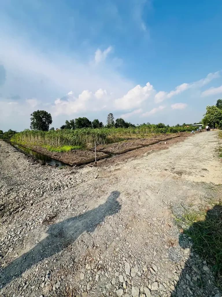 Main-Bán Đất 500m2 giá 490 triệu tại Đường ĐT 816 Xã Thạnh Hòa Huyện Bến Lức Long An-4