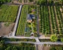 Thumb-Bán Đất 500m2 giá 490 triệu tại Đường ĐT 816 Xã Thạnh Hòa Huyện Bến Lức Long An-2