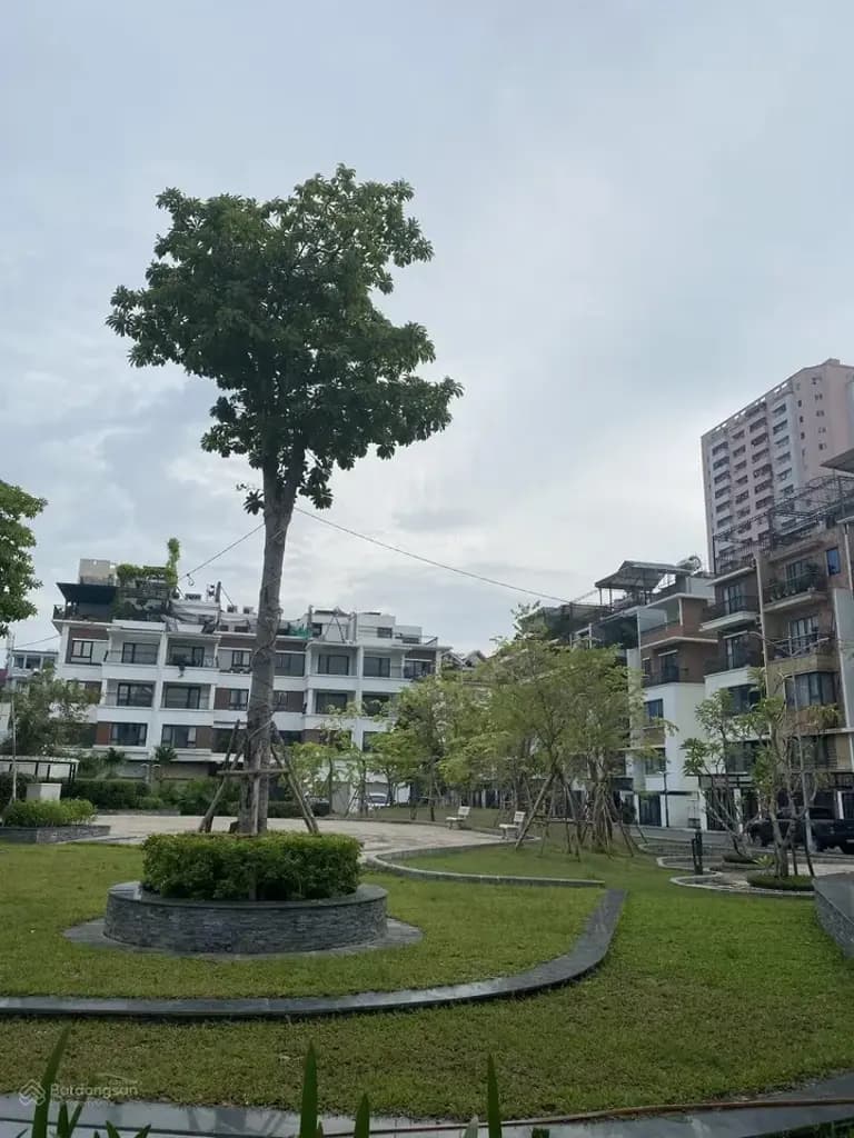 Main-Cho thuê Nhà Liền kề 88m2 x5 tầng giá 20 triệu tại Liền kề Roman plaza Trung Văn Tố Hữu Hà Nội-1