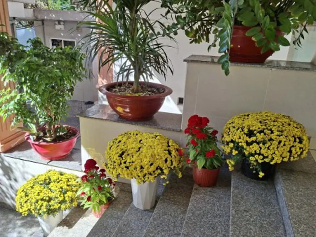 Main-Cho Thuê Phòng tại 494/1/21 Lê Quang Định, phường Hạnh Thông, TP HCM-3