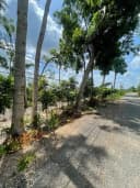 Thumb-Bán Đất 3087.8m2 có sẵn 125 m2 thổ cư giá 600 triệu tại - Chọn - Xã Hòa Hội Huyện Châu Thành Tây Ninh-3