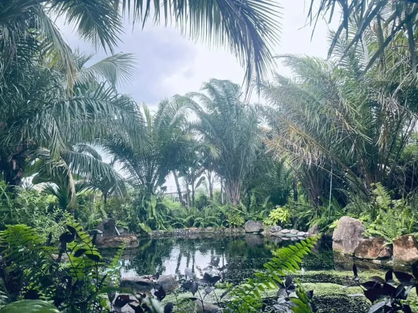 Bán Nhà riêng 1400m2 giá 6 tỷ 500 chính cần bán gấp ạ Chọn - Xã Bình Châu Huyện Xuyên Mộc Bà Rịa - Vũng Tàu
