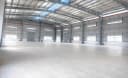Thumb-Cho thuê Kho, nhà xưởng 7840m2 tại CCN Tân Hội, Xã Tân Hòa Huyện Tân Châu Tây Ninh gần cửa khẩu Xa Mát-3